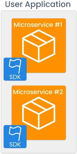 User Application with SDK